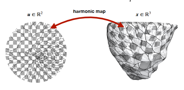 Two-step projection from parameter space to endocardial surface